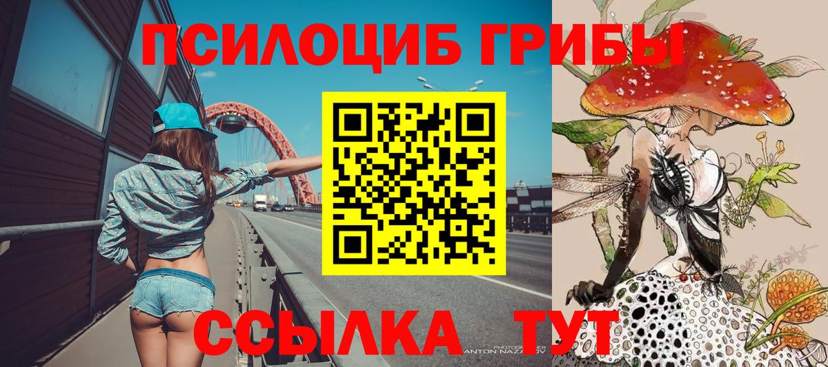 Кумертау  Галлюциногенные грибы Psilocybe  Вход с VPN  Псилоцибиновые грибы Psilocybine cubensis 